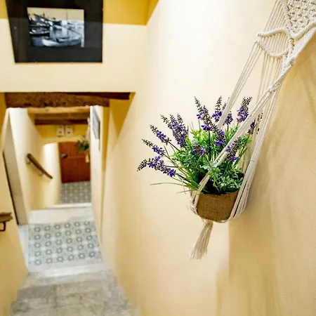 Apartment Relais *